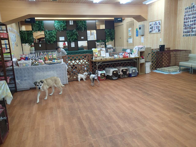 保護犬パーク&ドッグラン・ドッグサロン Wan WanWan長居店